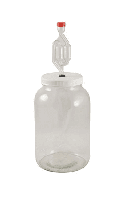 Best beginner brewing kit — Pickle Brewing 1 gallon starter kit